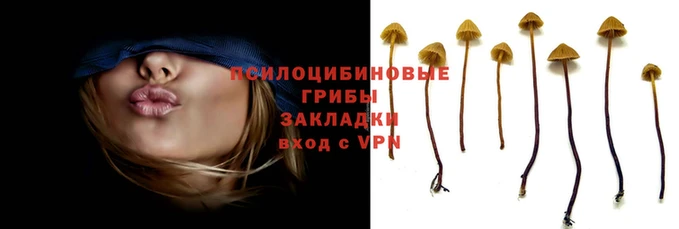 ALPHA-PVP Алзамай