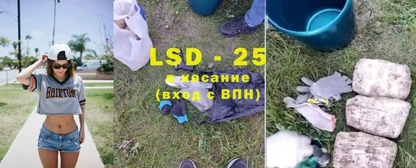 хмурый Новозыбков