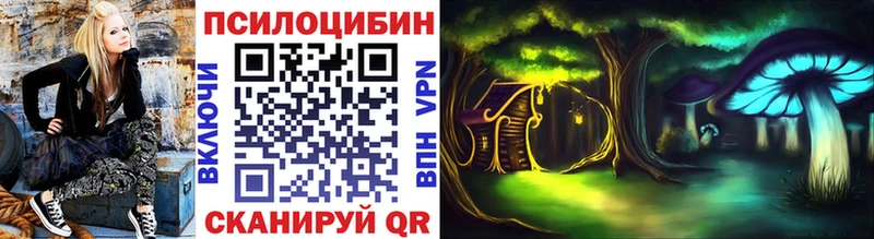 Псилоцибиновые грибы Psilocybe  Петров Вал 